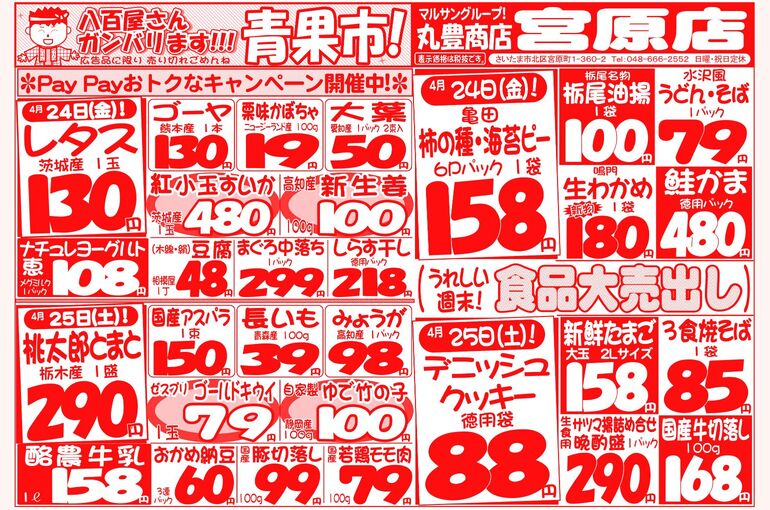 マルサンの目玉情報
