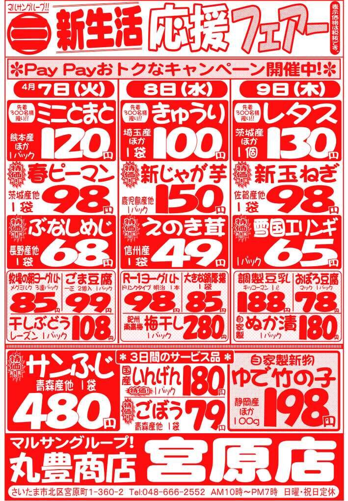 マルサンの目玉情報