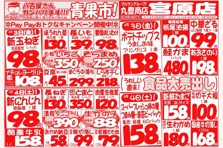 マルサンの目玉情報