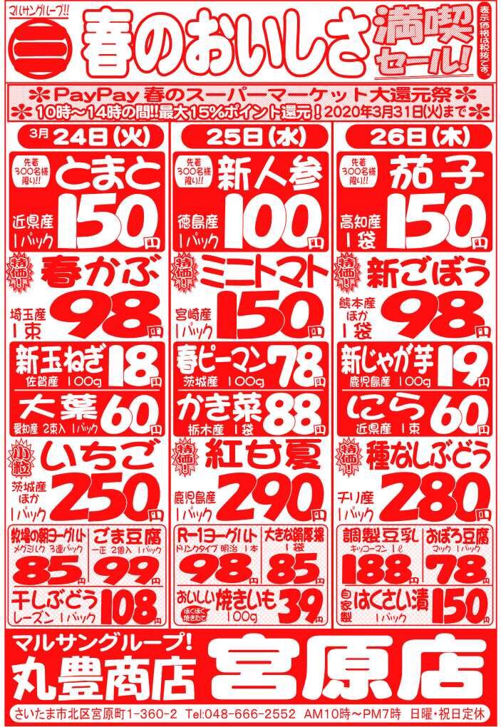 マルサンの目玉情報