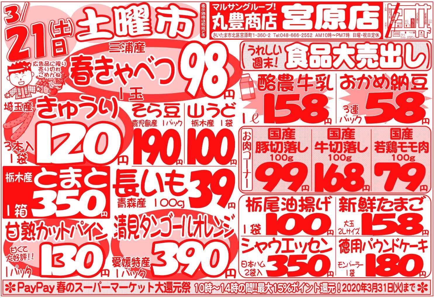マルサンの目玉情報