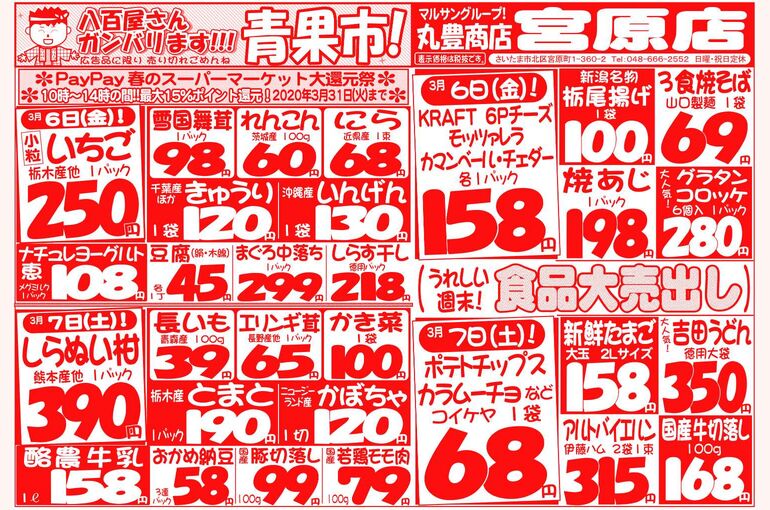 マルサンの目玉情報