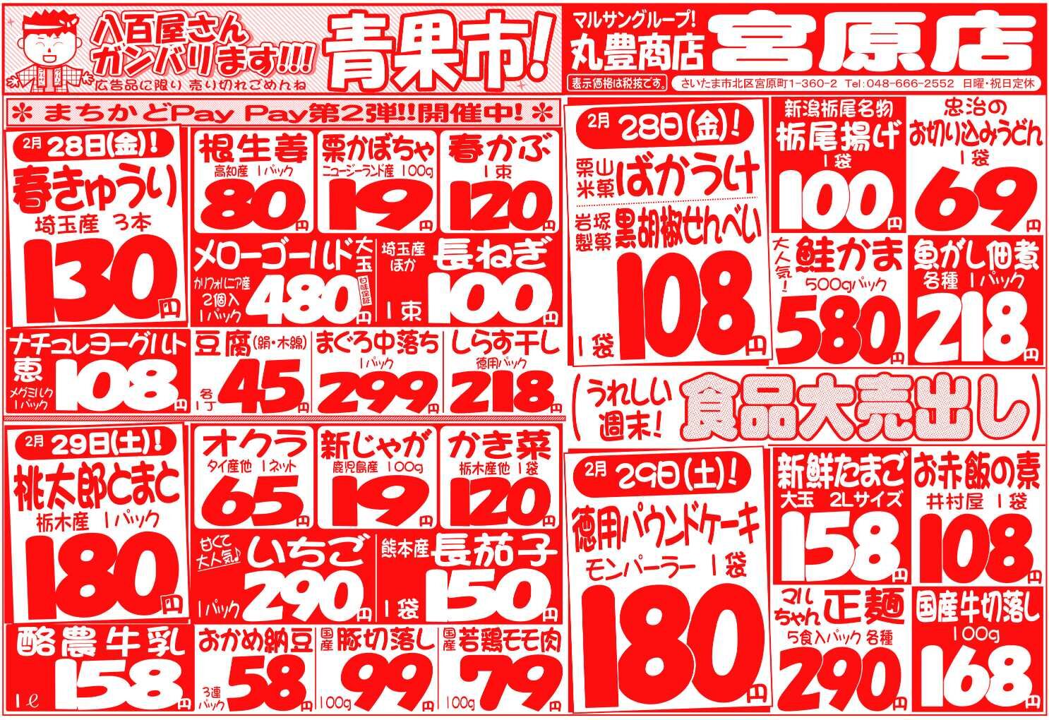 マルサンの目玉情報