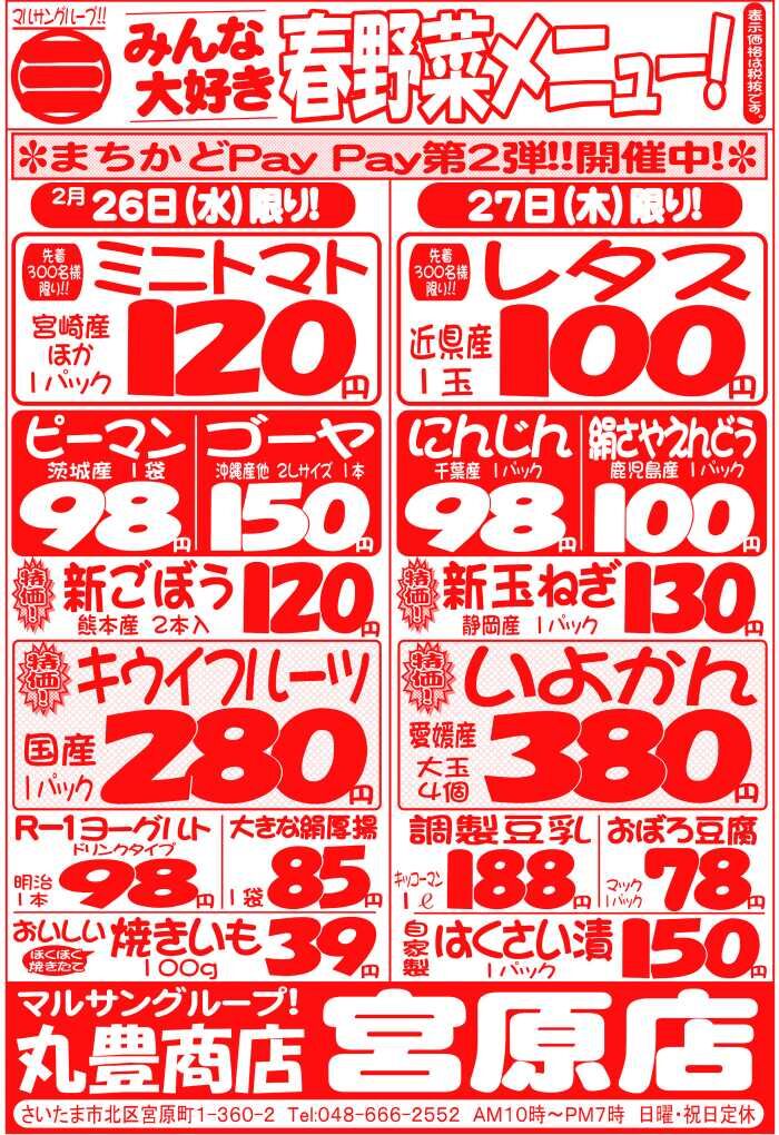 マルサンの目玉情報