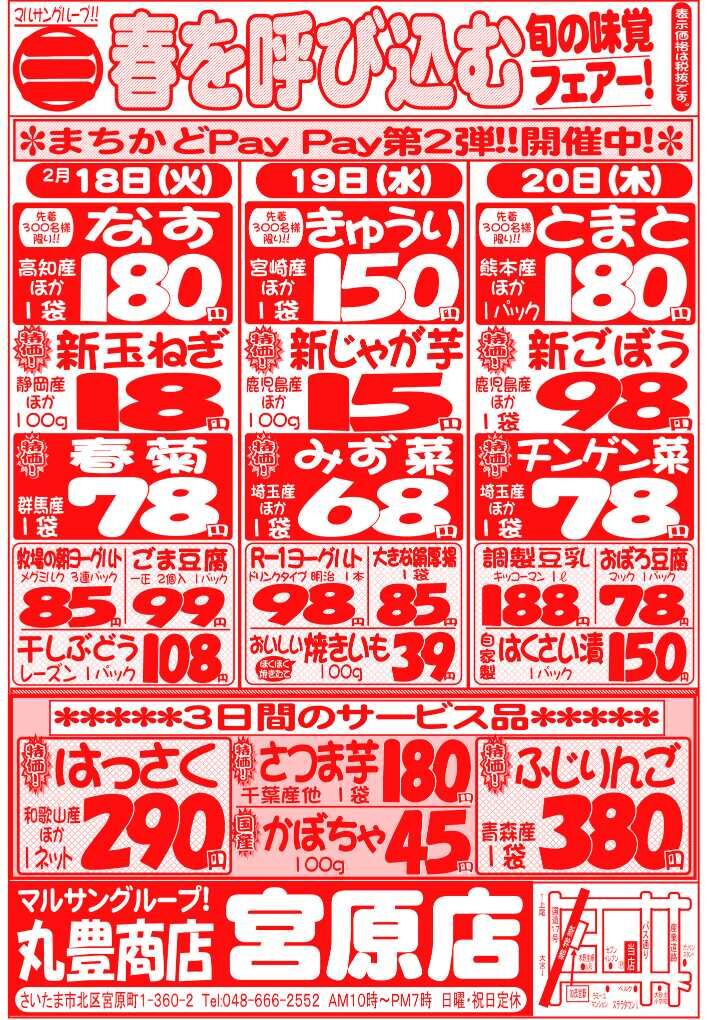 マルサンの目玉情報