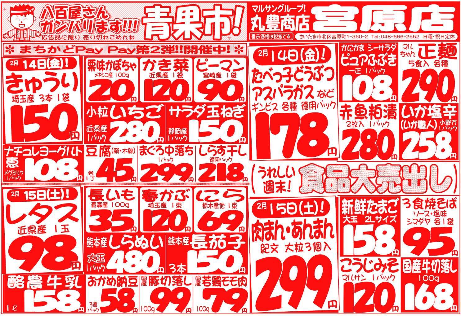 マルサンの目玉情報