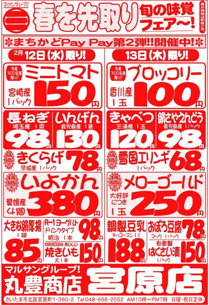 マルサンの目玉情報