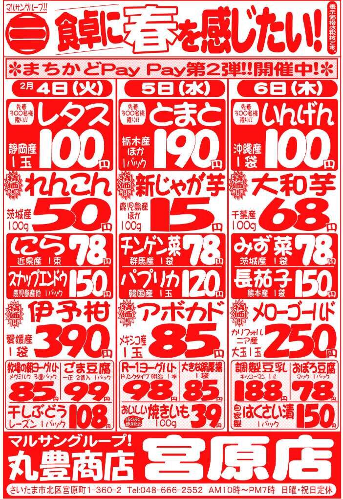 マルサンの目玉情報