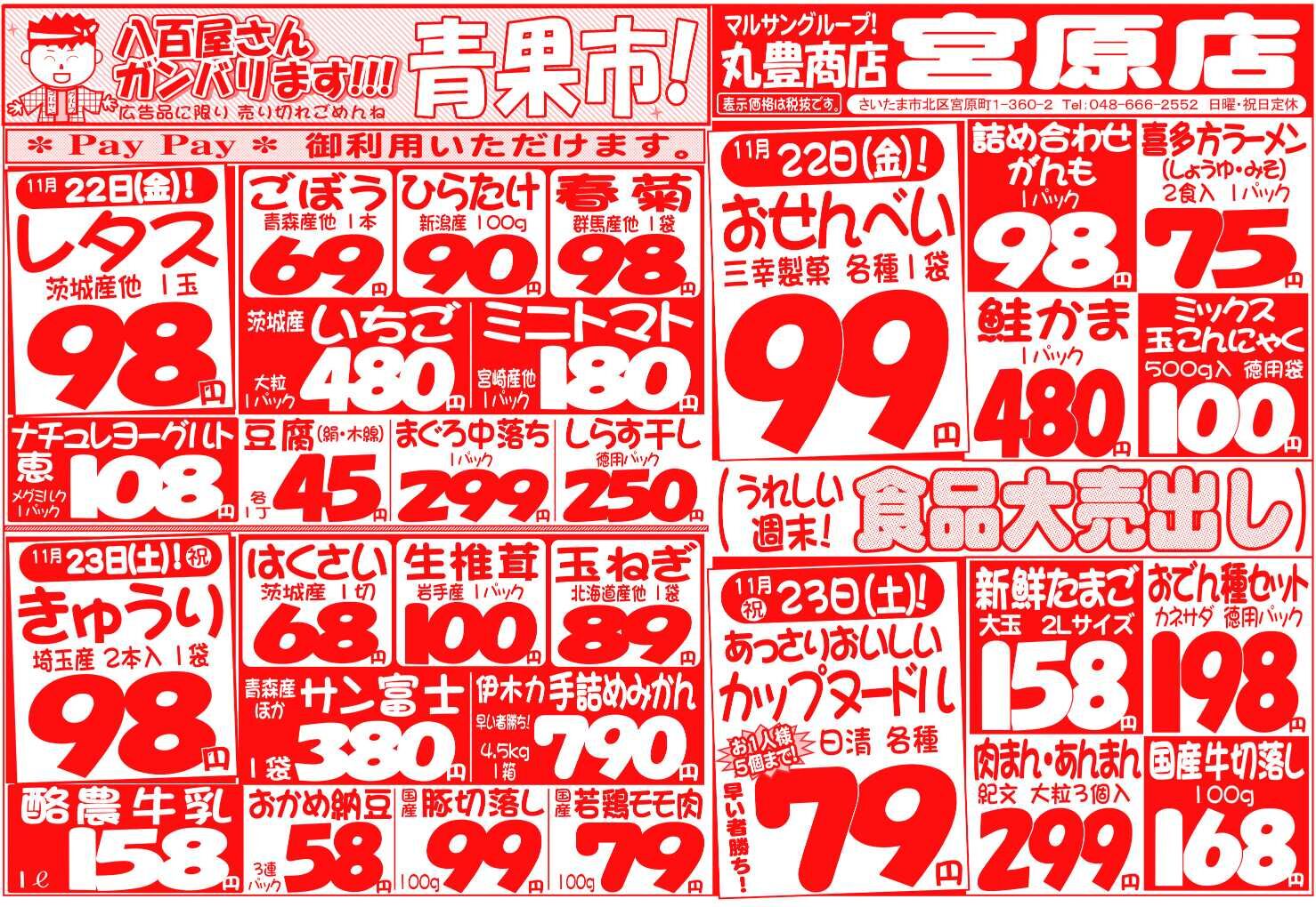 マルサンの目玉情報