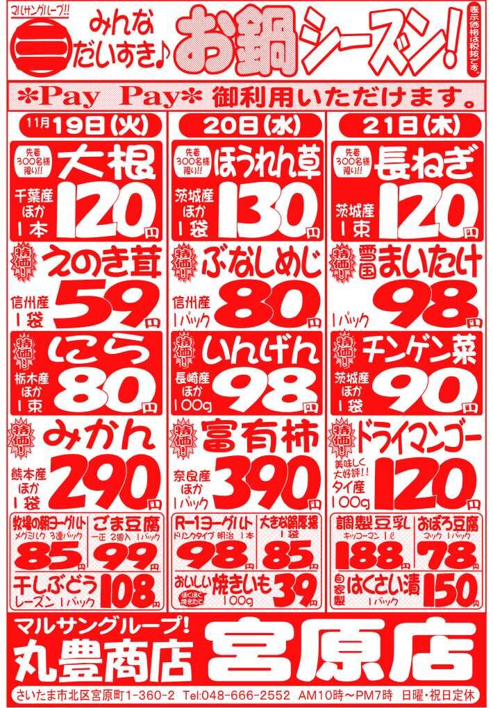 マルサンの目玉情報
