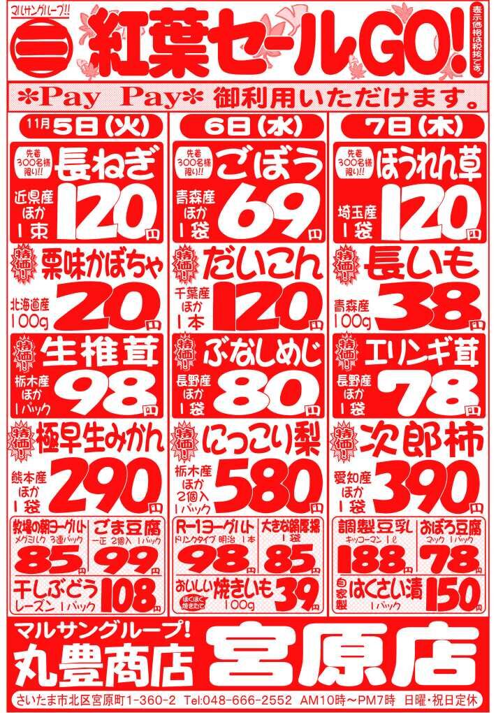 マルサンの目玉情報