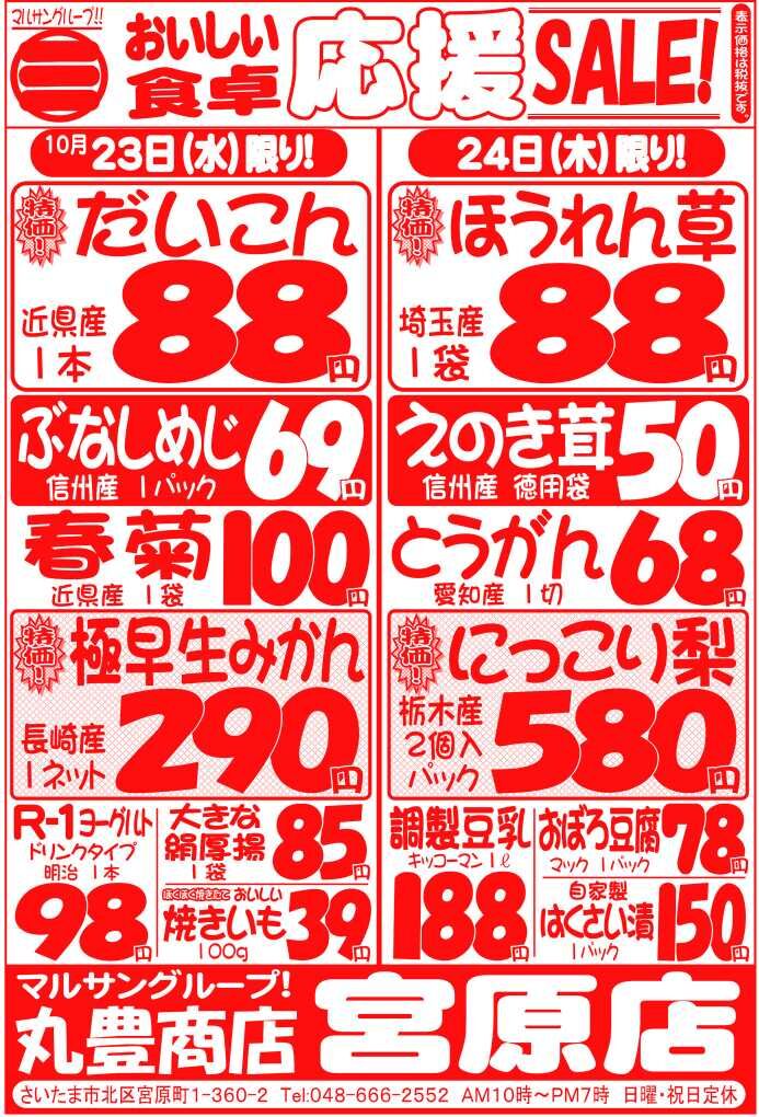 マルサンの目玉情報