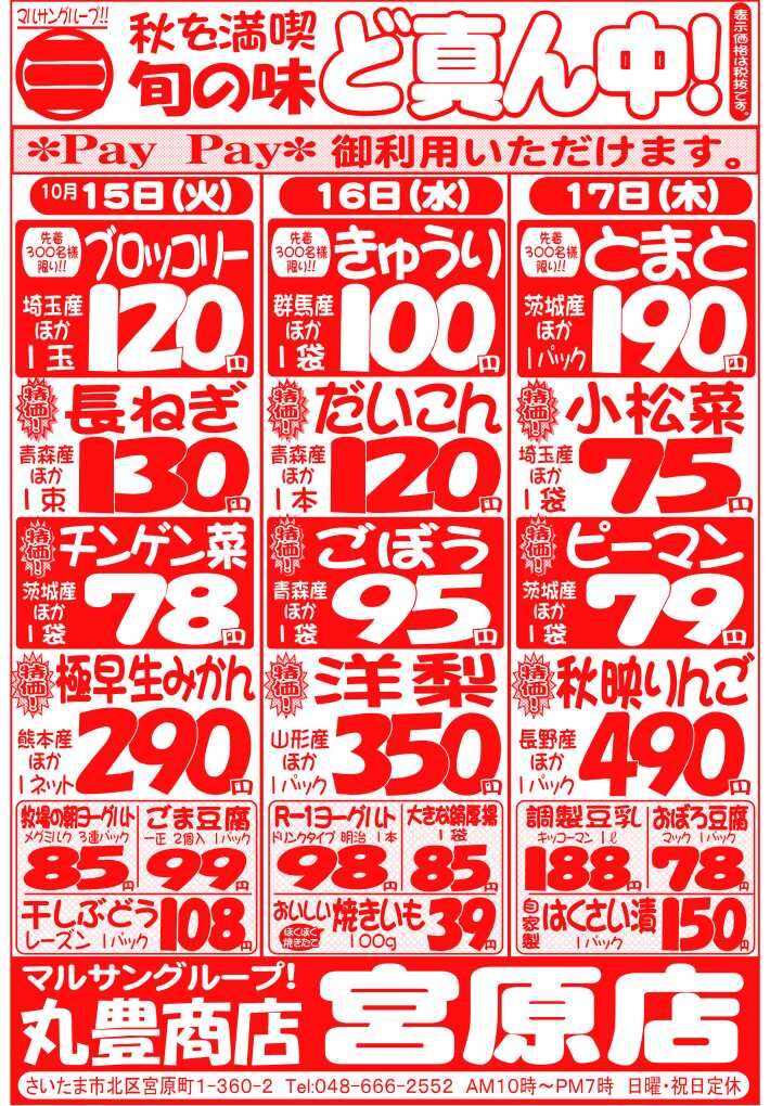 マルサンの目玉情報