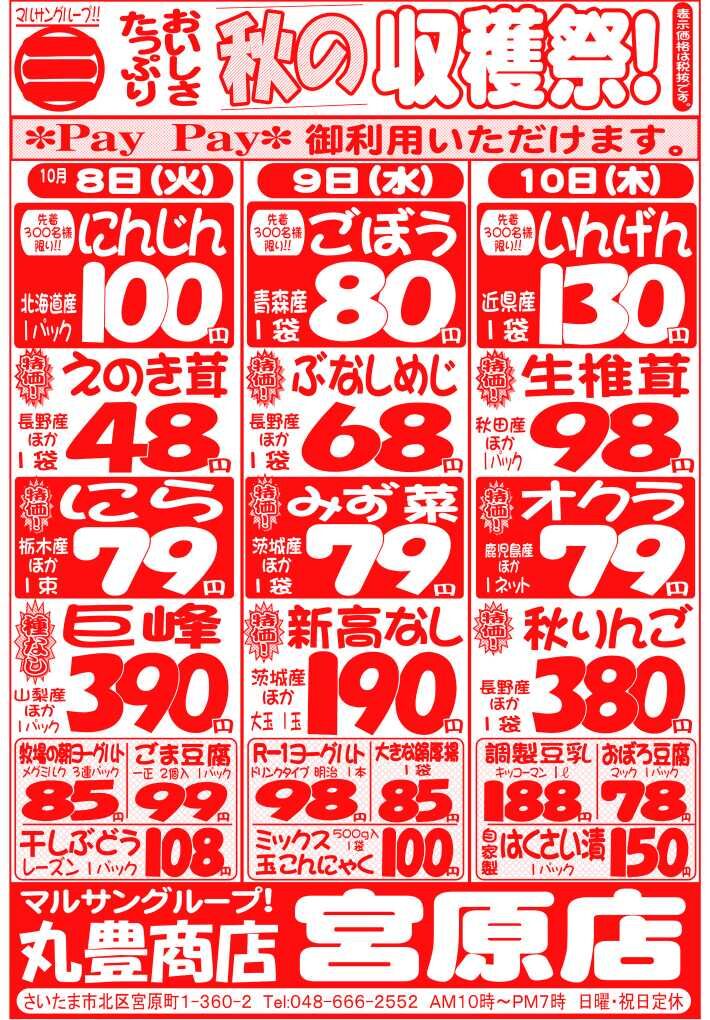 マルサンの目玉情報