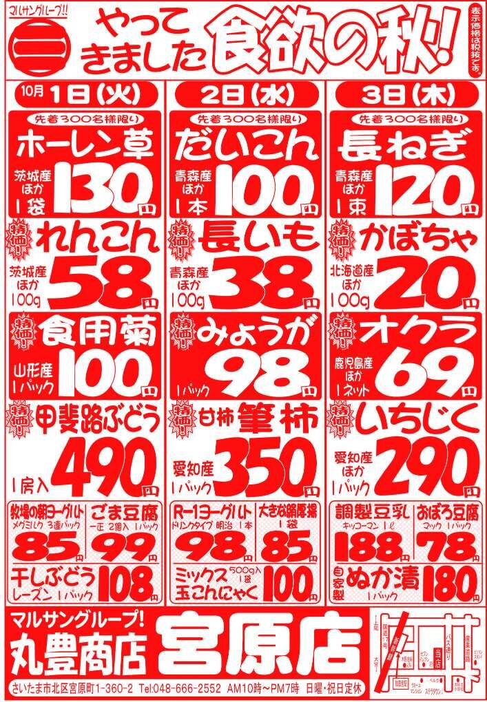 マルサンの目玉情報