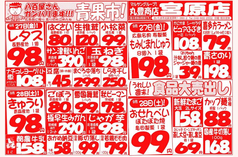 マルサンの目玉情報