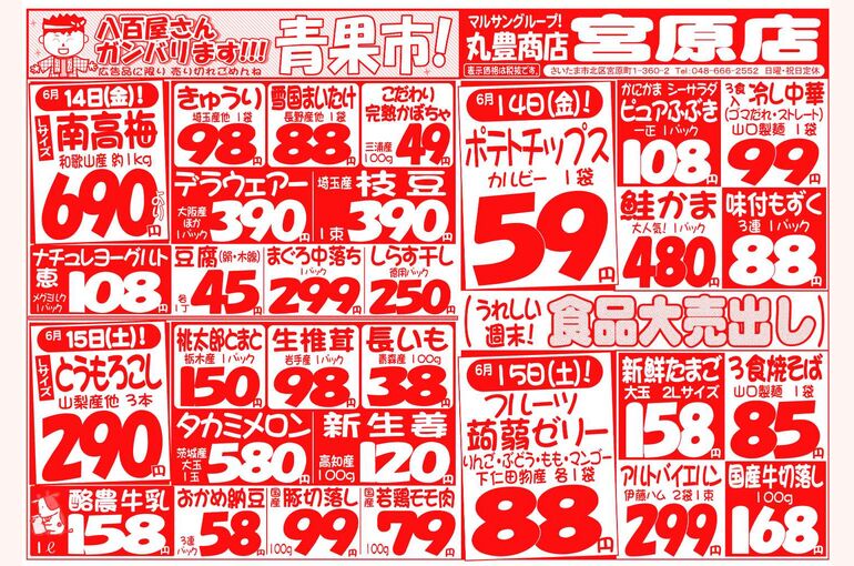 マルサンの目玉情報