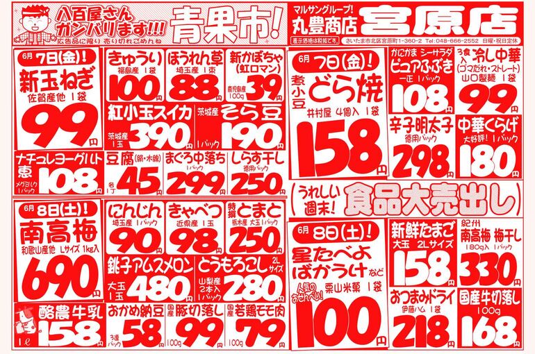 マルサンの目玉情報