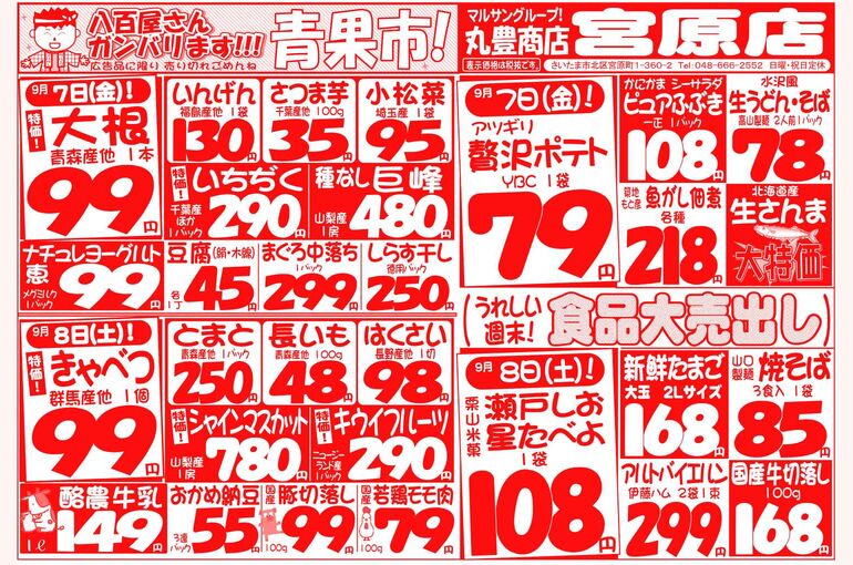 マルサンの目玉情報