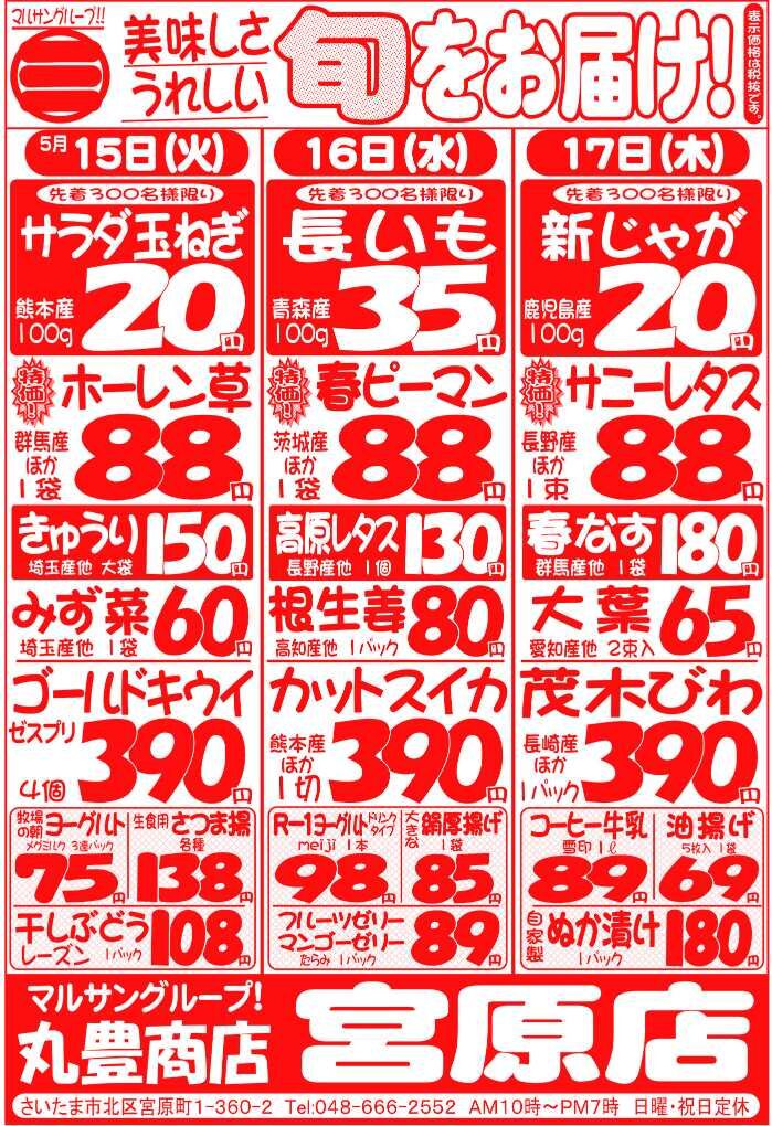 マルサンの目玉情報