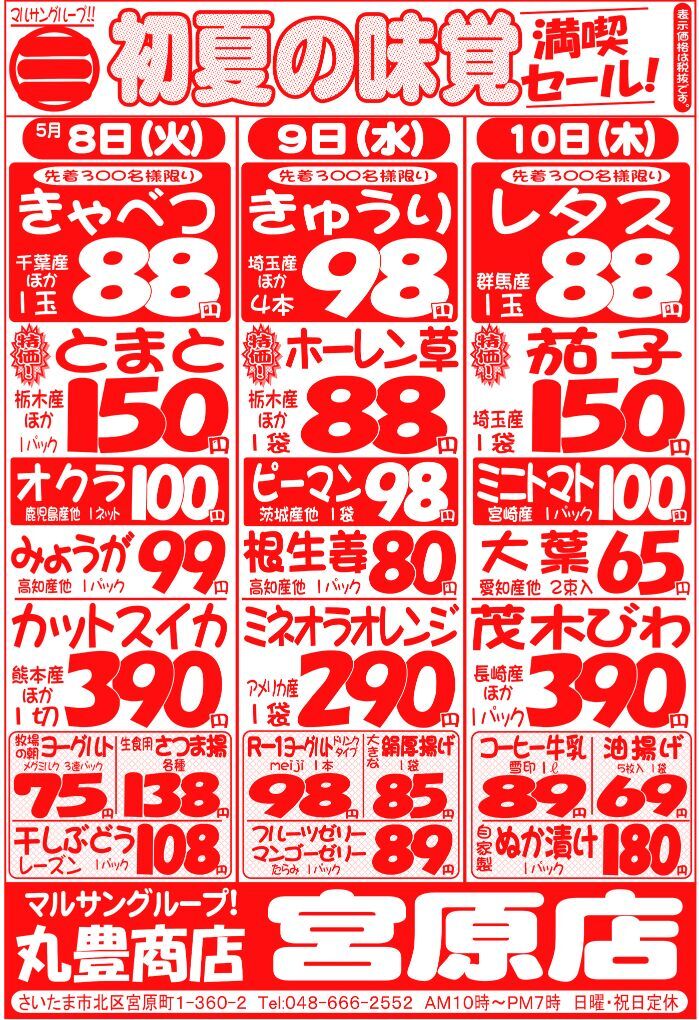 マルサンの目玉情報