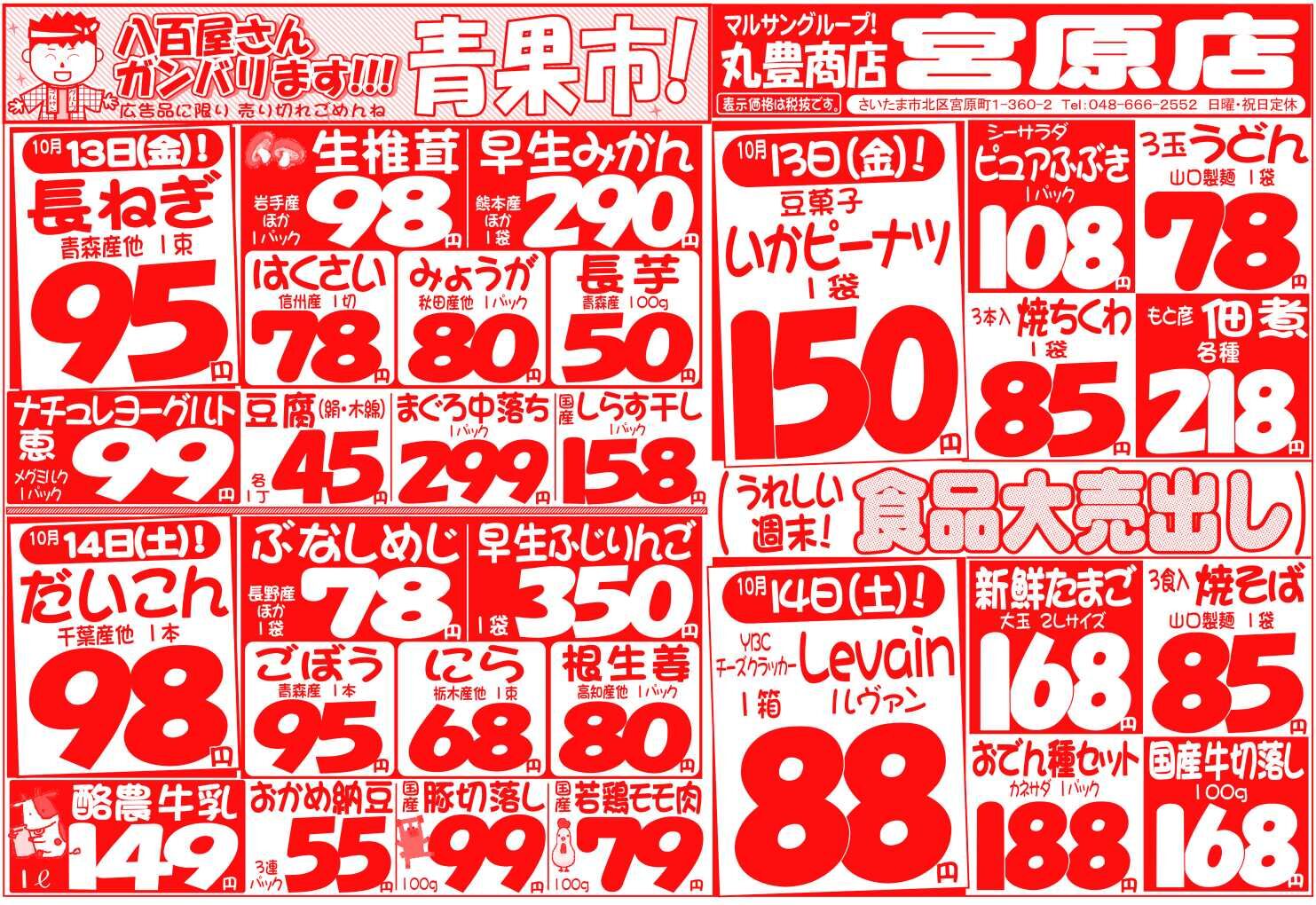 マルサンの目玉情報