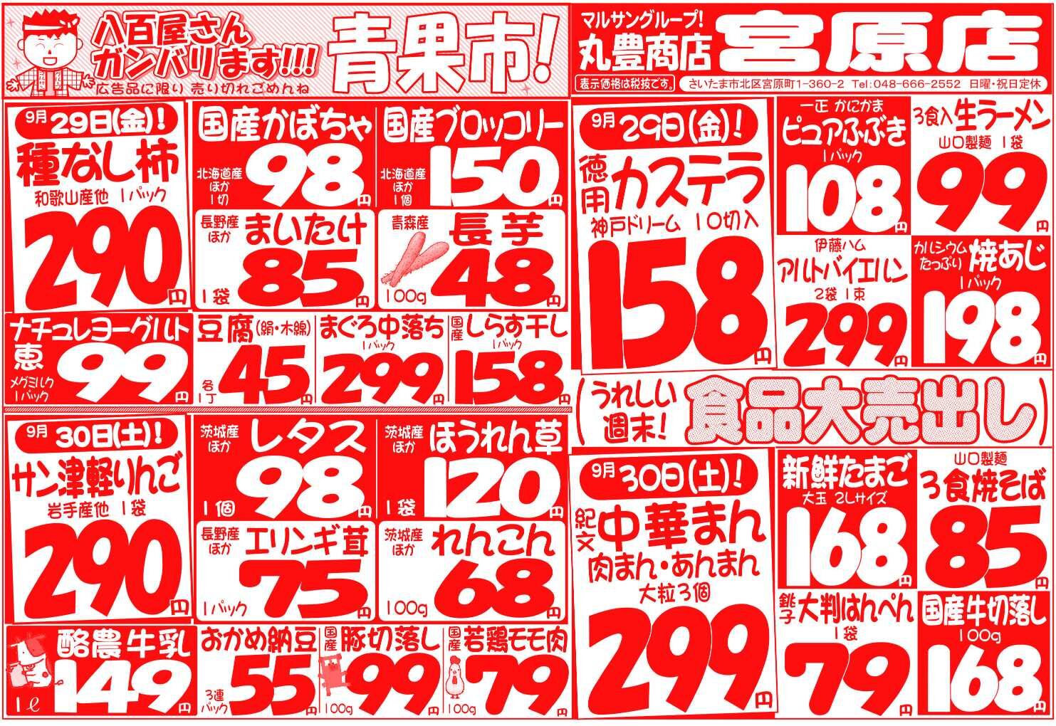 マルサンの目玉情報