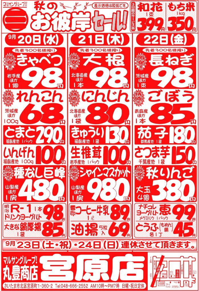 マルサンの目玉情報