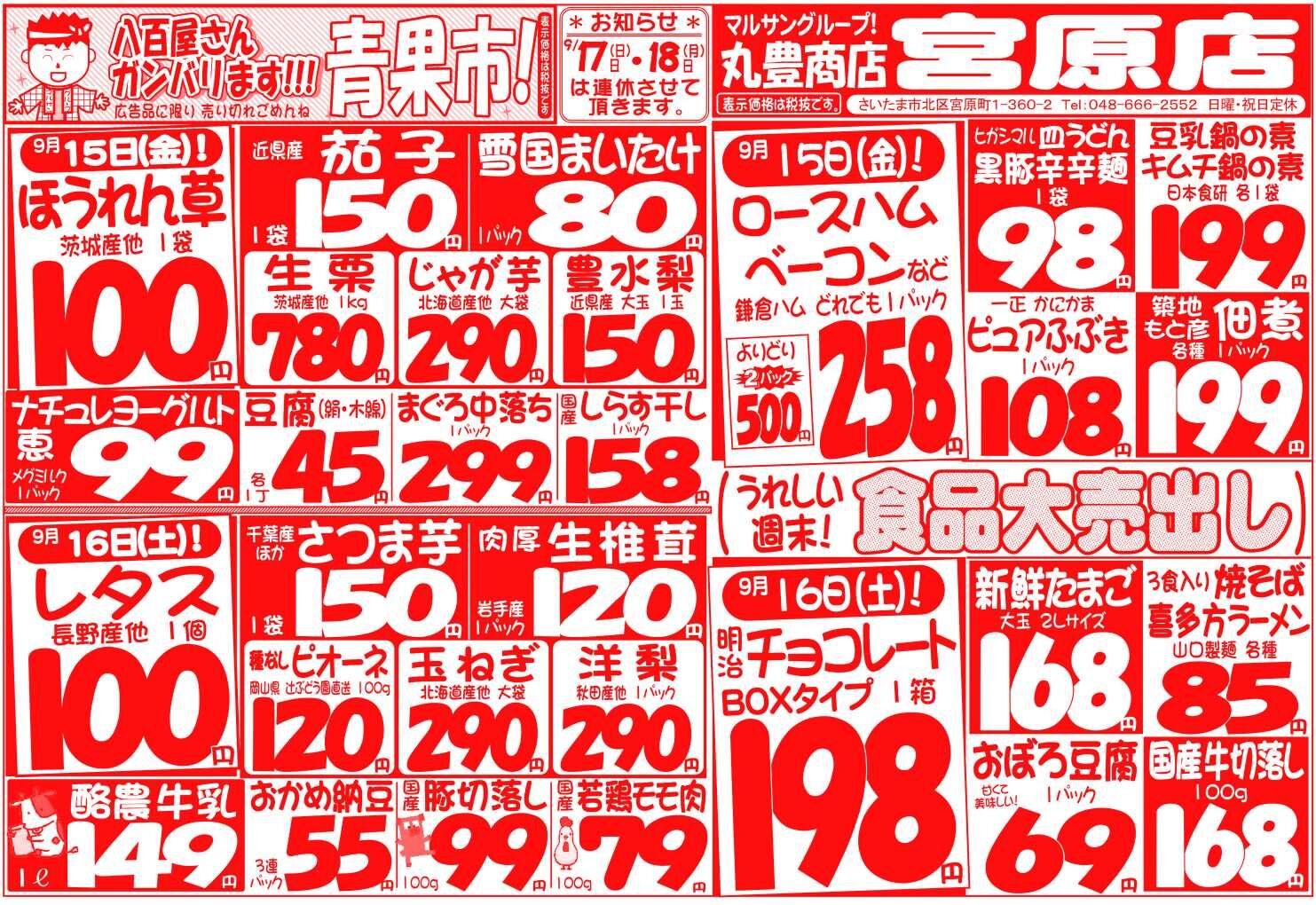マルサンの目玉情報