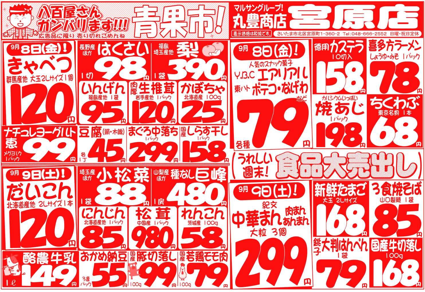 マルサンの目玉情報