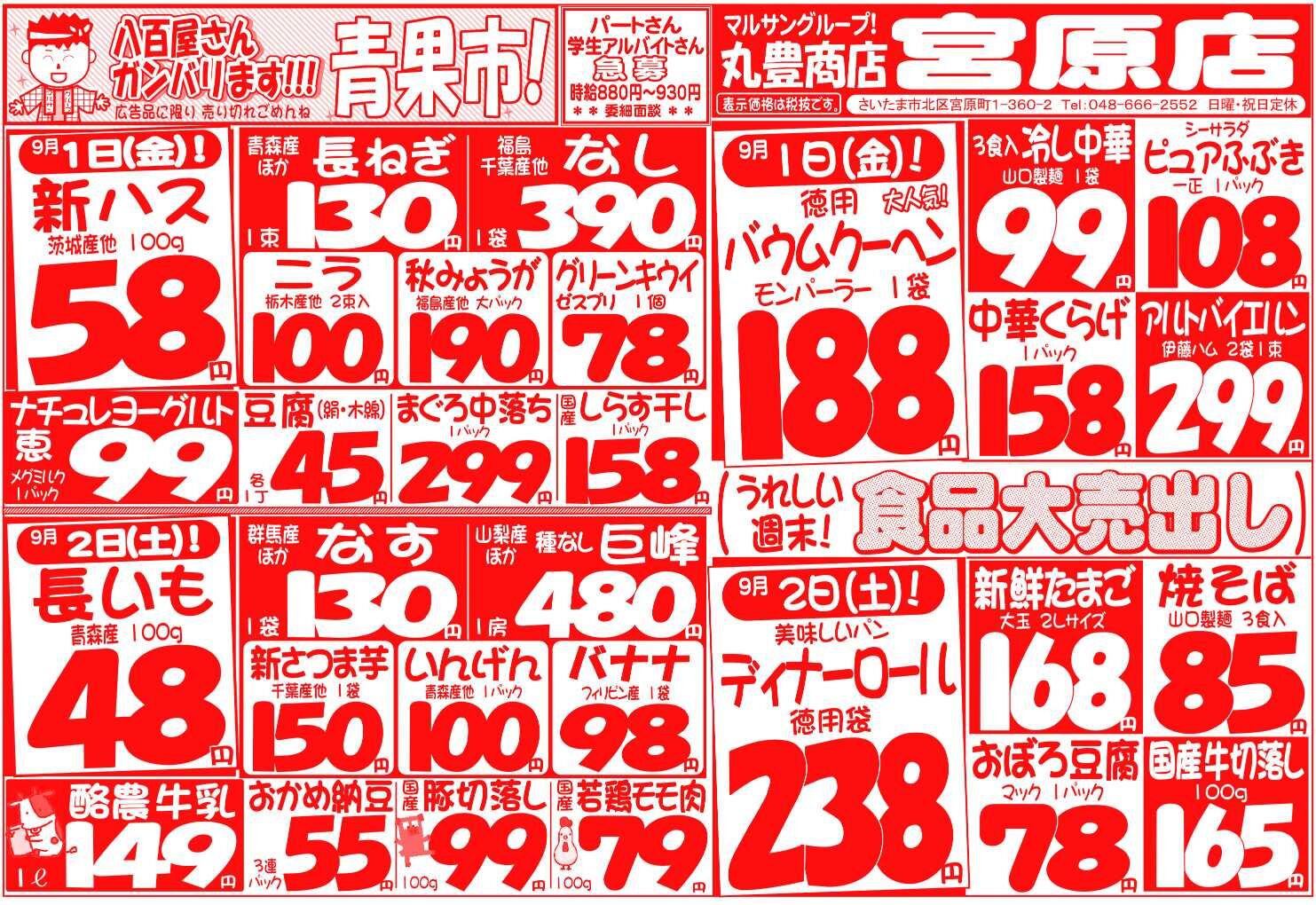 マルサンの目玉情報